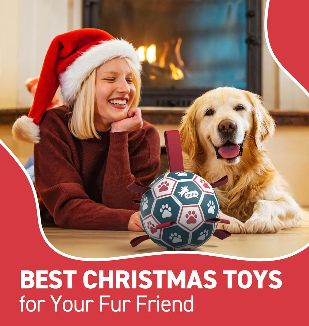 QDAN dog tugging ball with owner demonstrating interactive training benefit