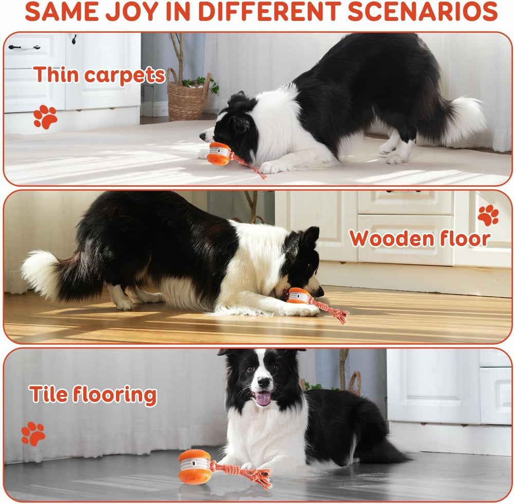 QGI ball slow speed mode shown with small dog for gentle, approachable play