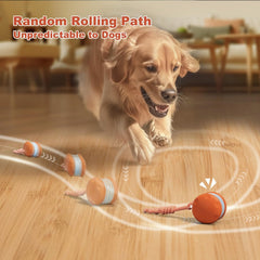 QGI dog ball rope attachment close-up highlighting tug feature and added interaction
