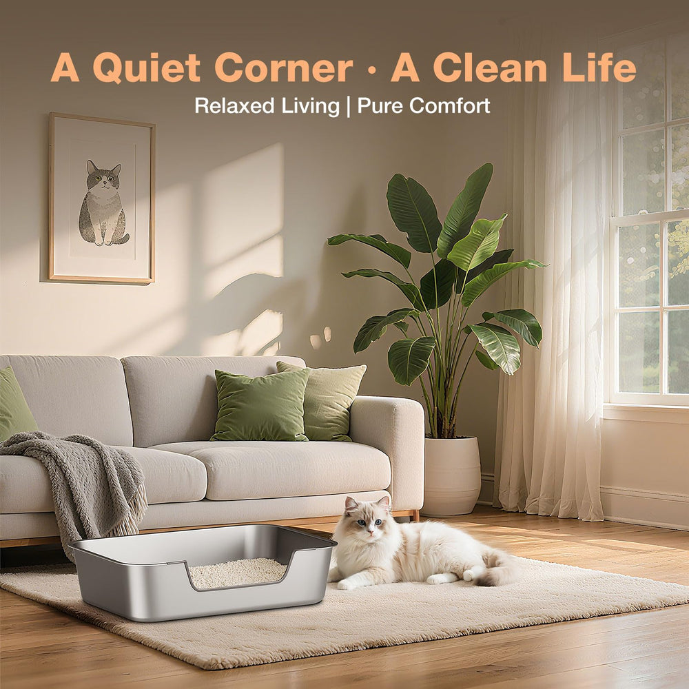 Qiuma smooth surface after rinse highlights fast cleaning advantage