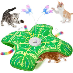 Qraxond front packaging showing product and benefit of stimulating play
