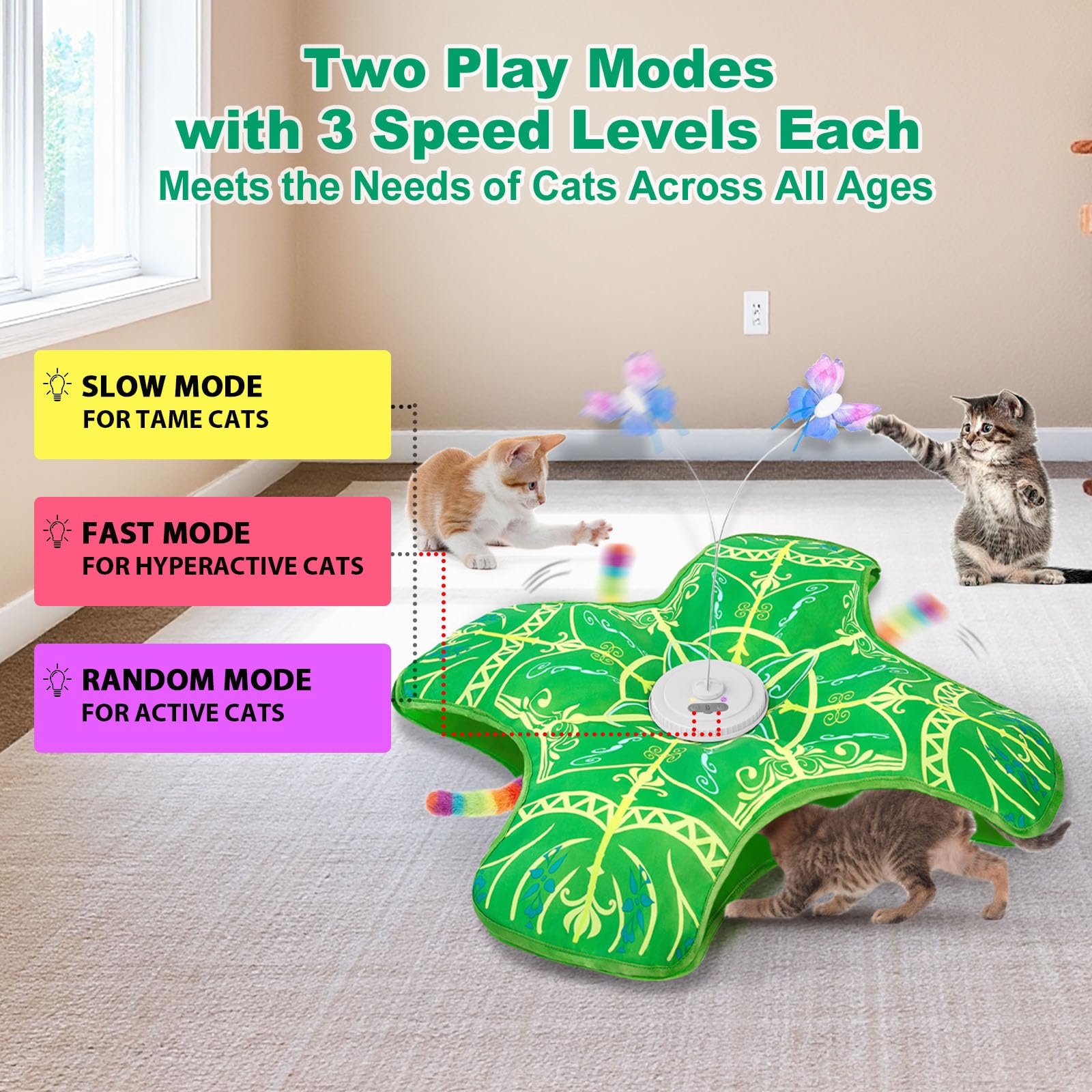 Qraxond in use with cat pouncing to show exercise and engagement