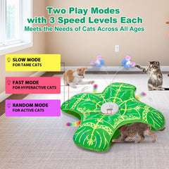 Qraxond in use with cat pouncing to show exercise and engagement