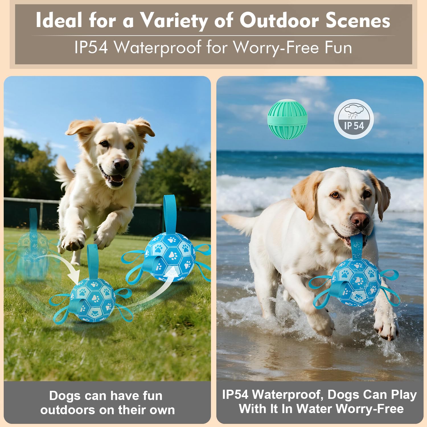 Qraxond in use with dog playing on grass, demonstrates outdoor splash-resistant fun