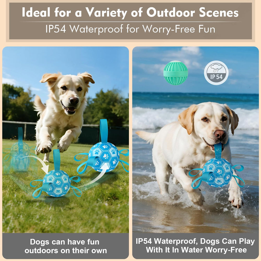 Qraxond in use with dog playing on grass, demonstrates outdoor splash-resistant fun