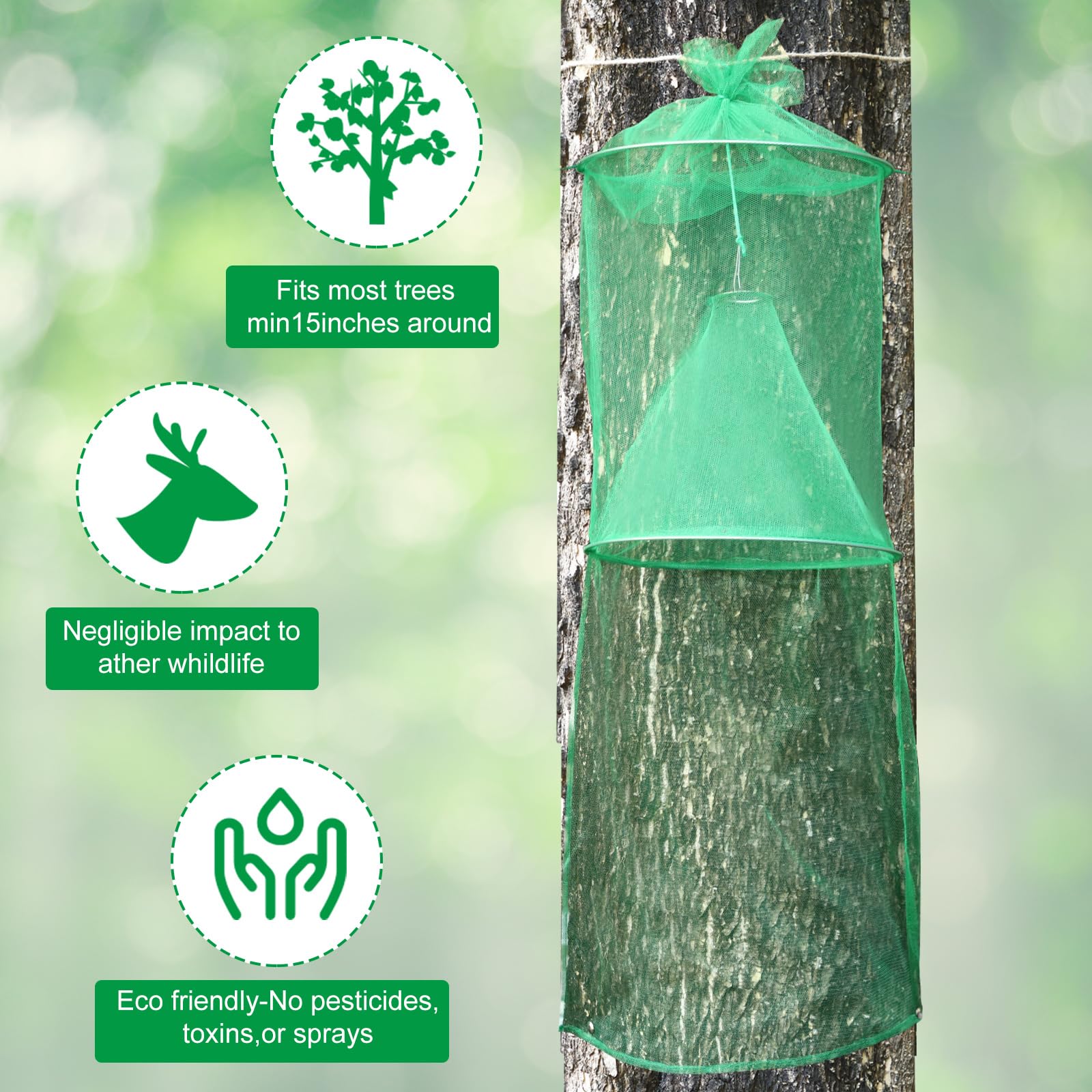 Qualirey trap hanging on a tree trunk illustrating secure, pesticide-free capture method