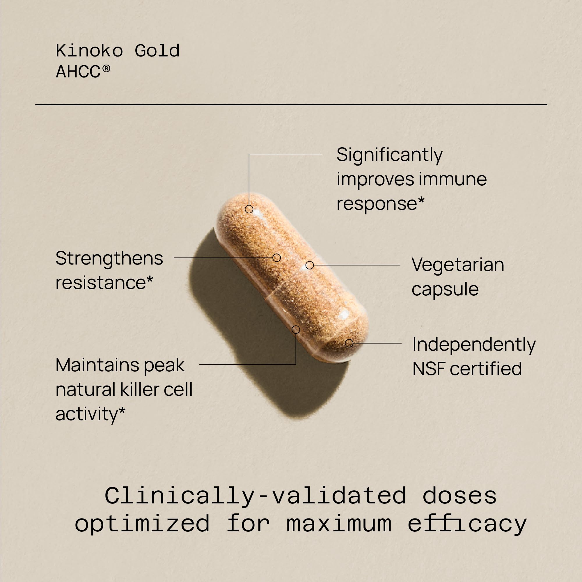 Quality of Life powder texture image showing concentrated AHCC extract benefits