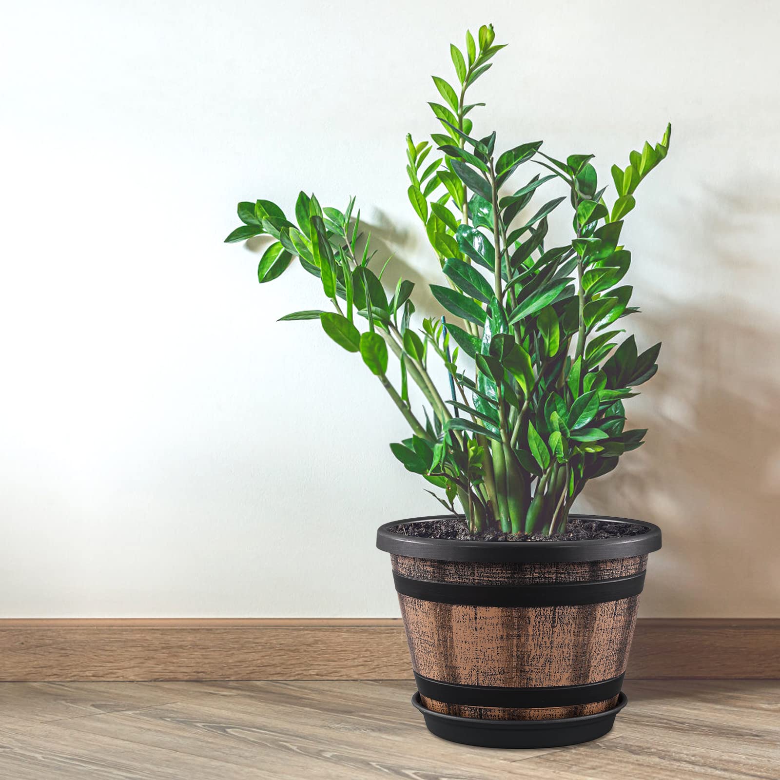 Quarut indoor shelf lifestyle display showing decorative appeal and versatile placement