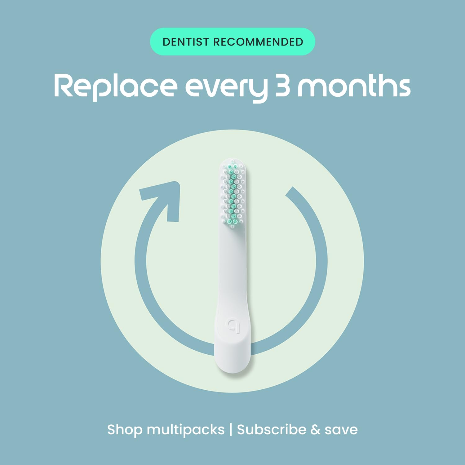 Quip bristles detail emphasizing soft tips that clean tight spaces effectively