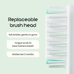 Quip protective cover mounted on mirror for hygienic, space-saving storage