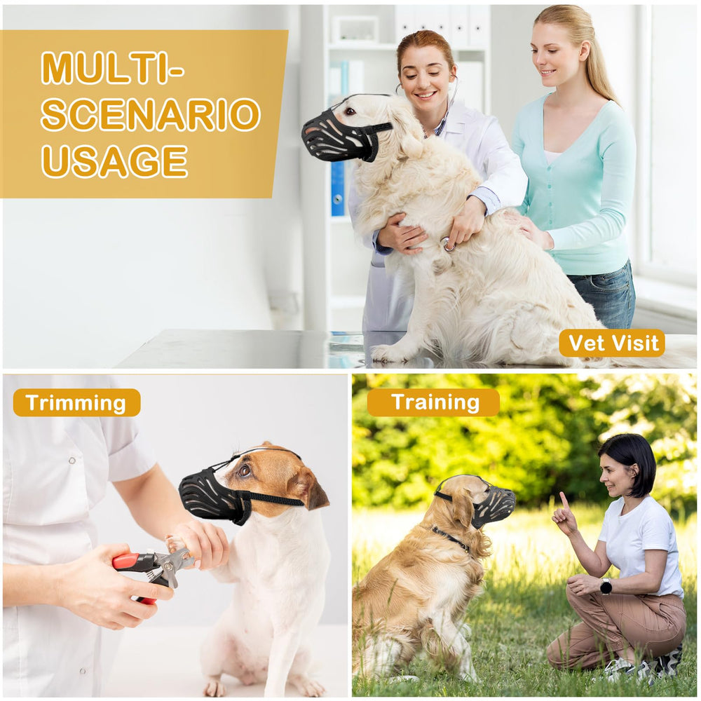 Qukcors muzzle on dog during walk to show comfortable everyday use
