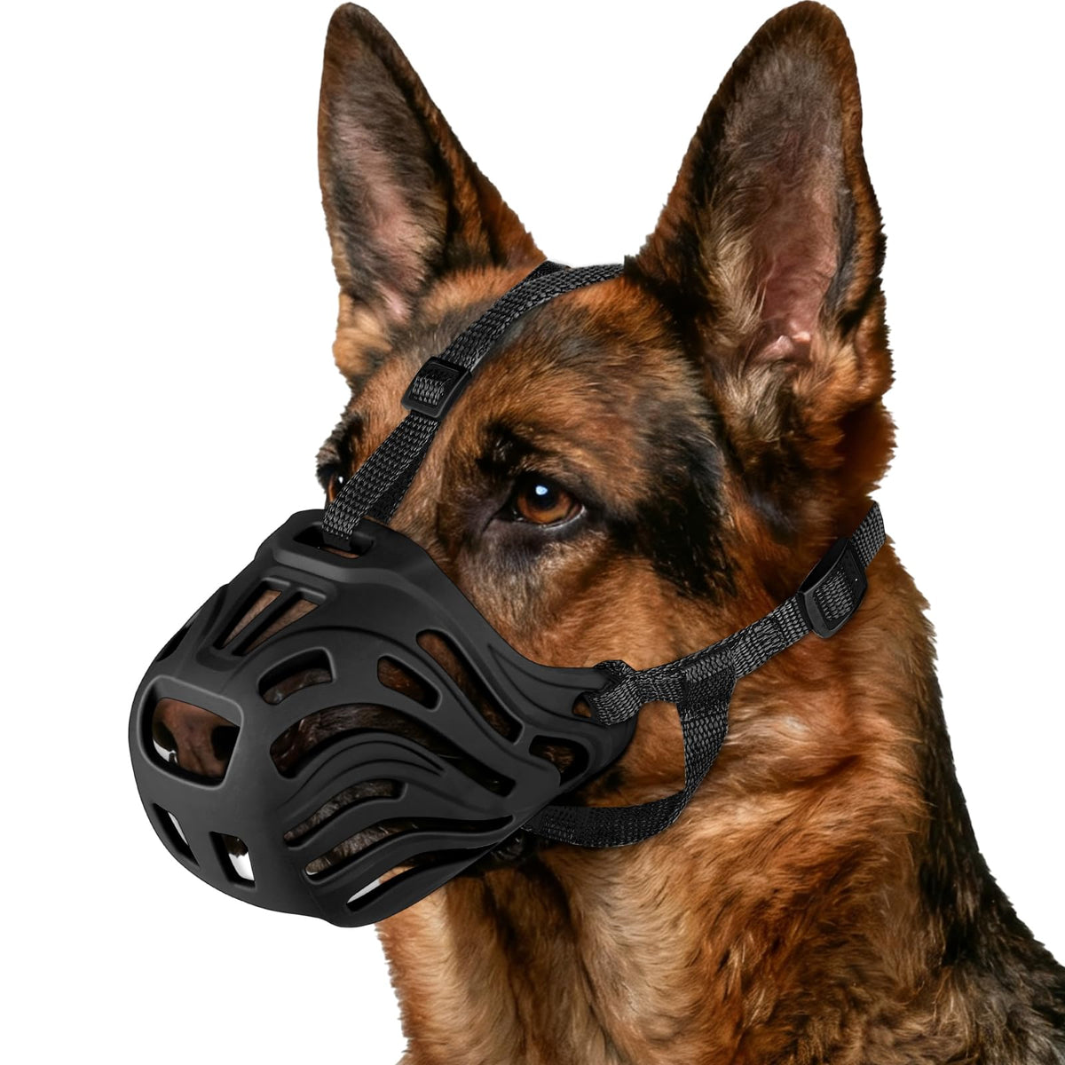 Qukcors front view basket muzzle showing secure fit and protection