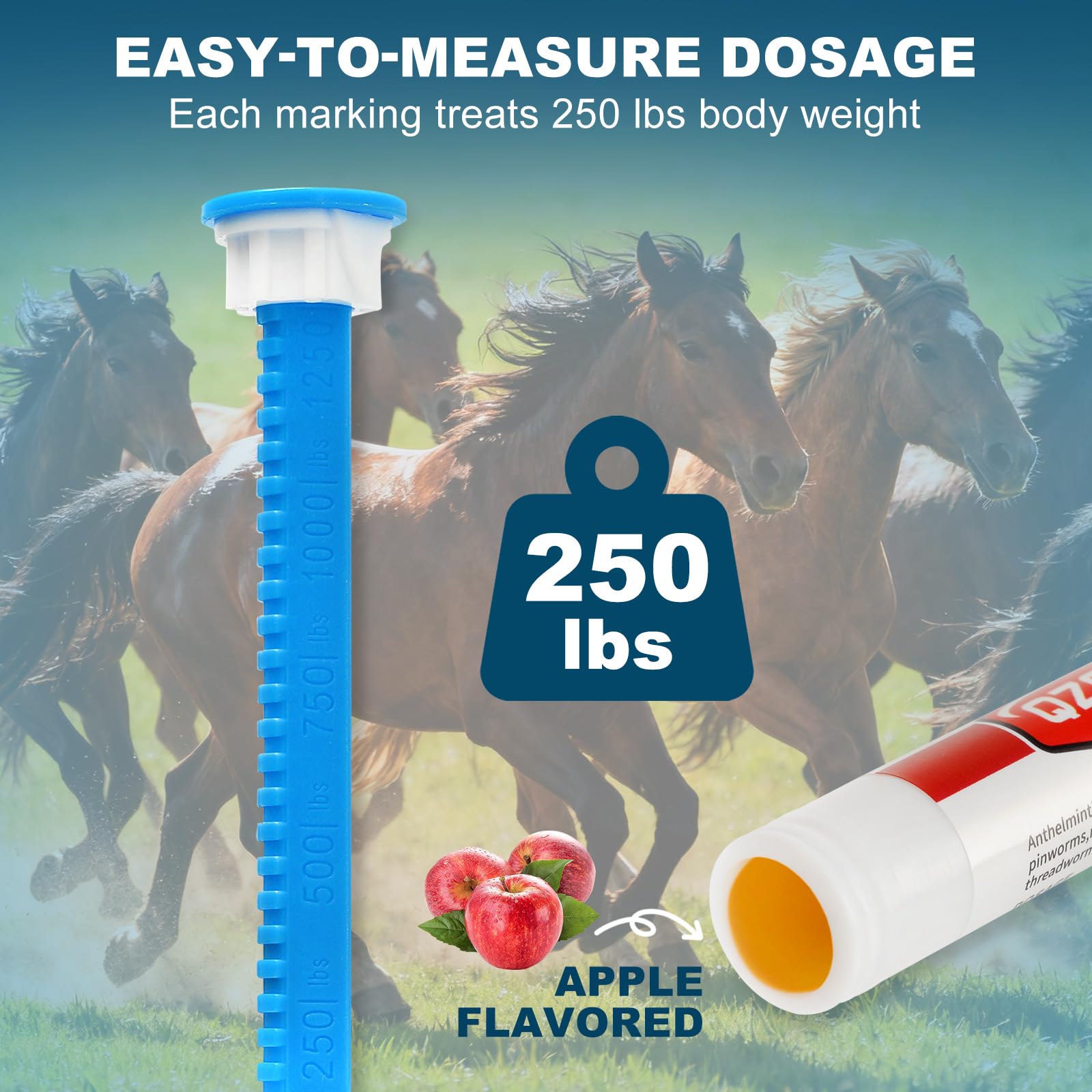 QZQAB paste being administered to horse, fast and stress-reducing