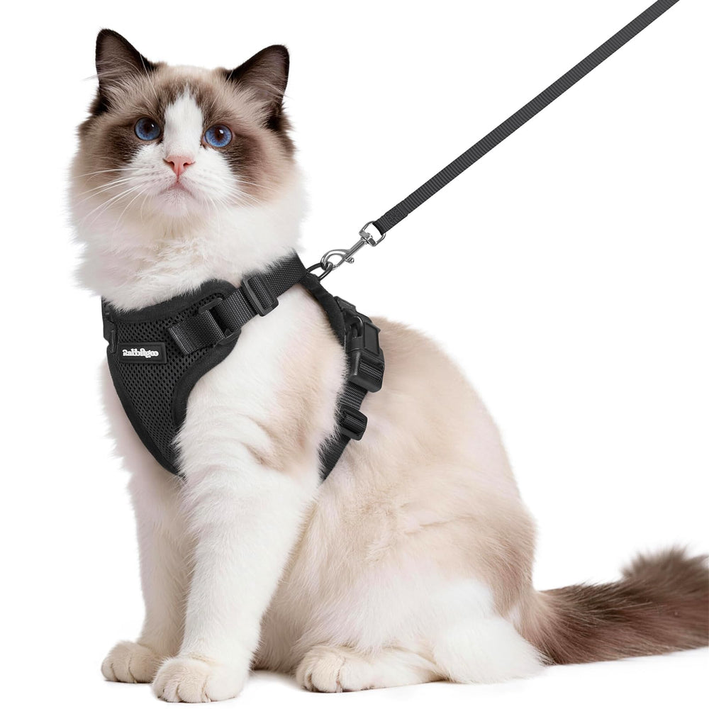 rabbitgoo front view harness showing secure closure and sleek black design benefit comfort