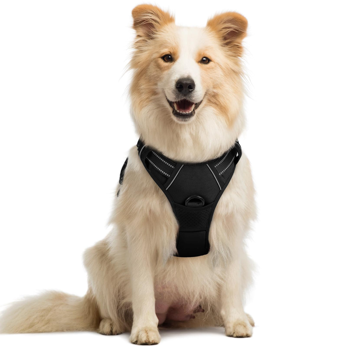 rabbitgoo front view of harness showing secure chest clip and sleek fit for control