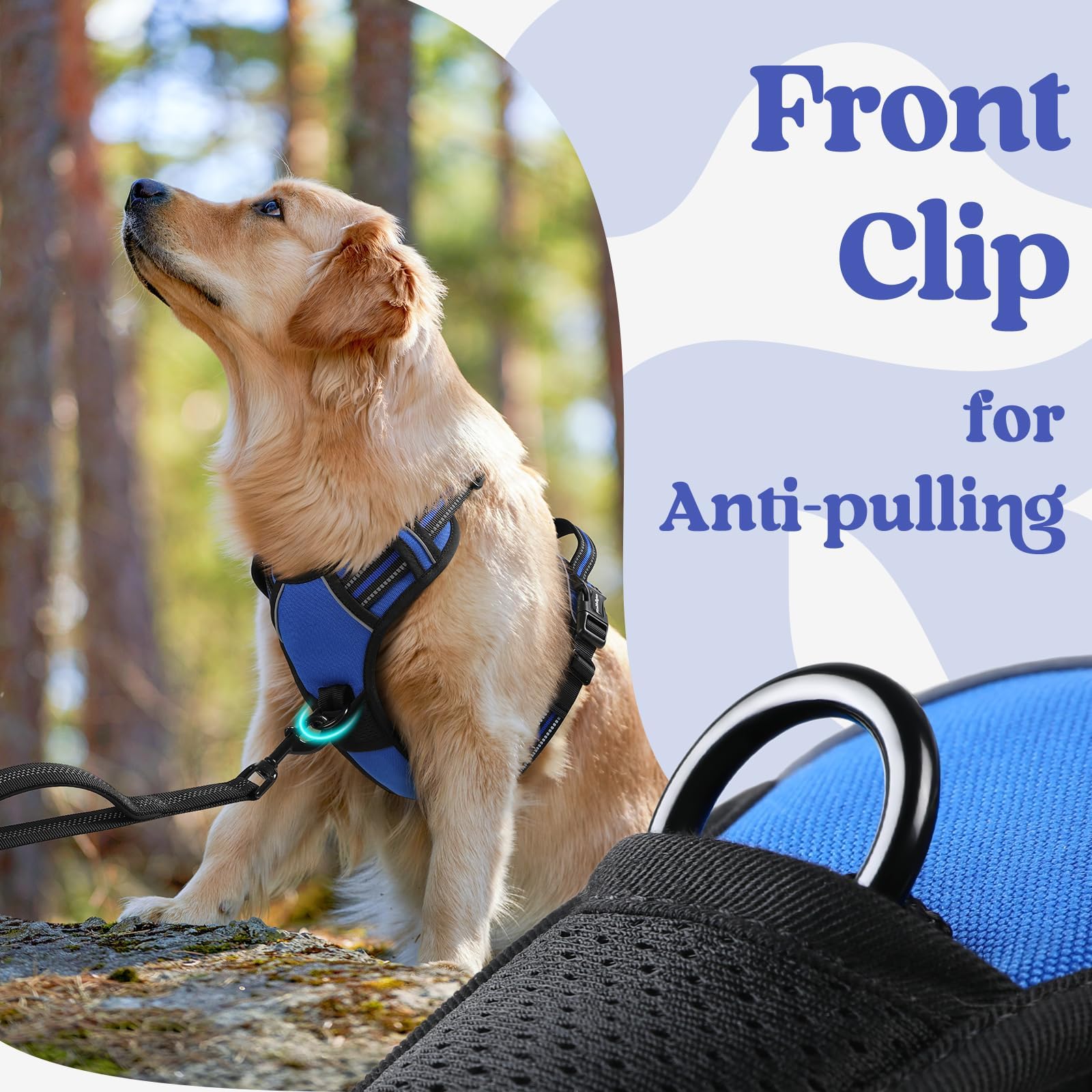 rabbitgoo harness adjustable straps and buckles for a tailored fit