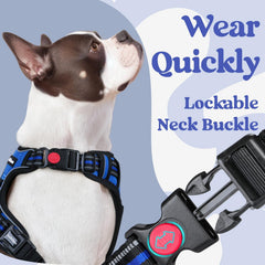 rabbitgoo harness breathable mesh close-up for cooler all-day comfort