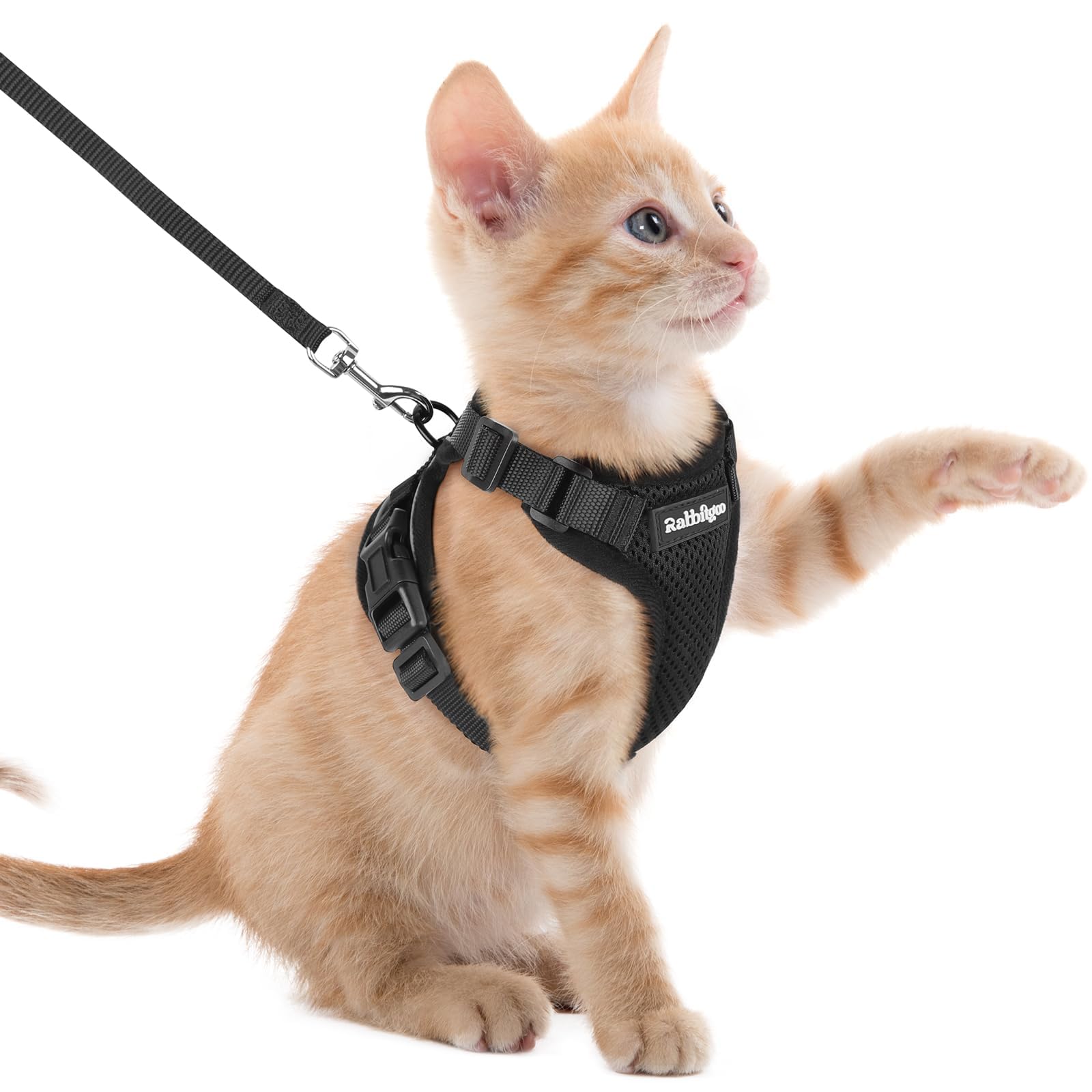 rabbitgoo front view of vest harness showing fit and coverage for comfort
