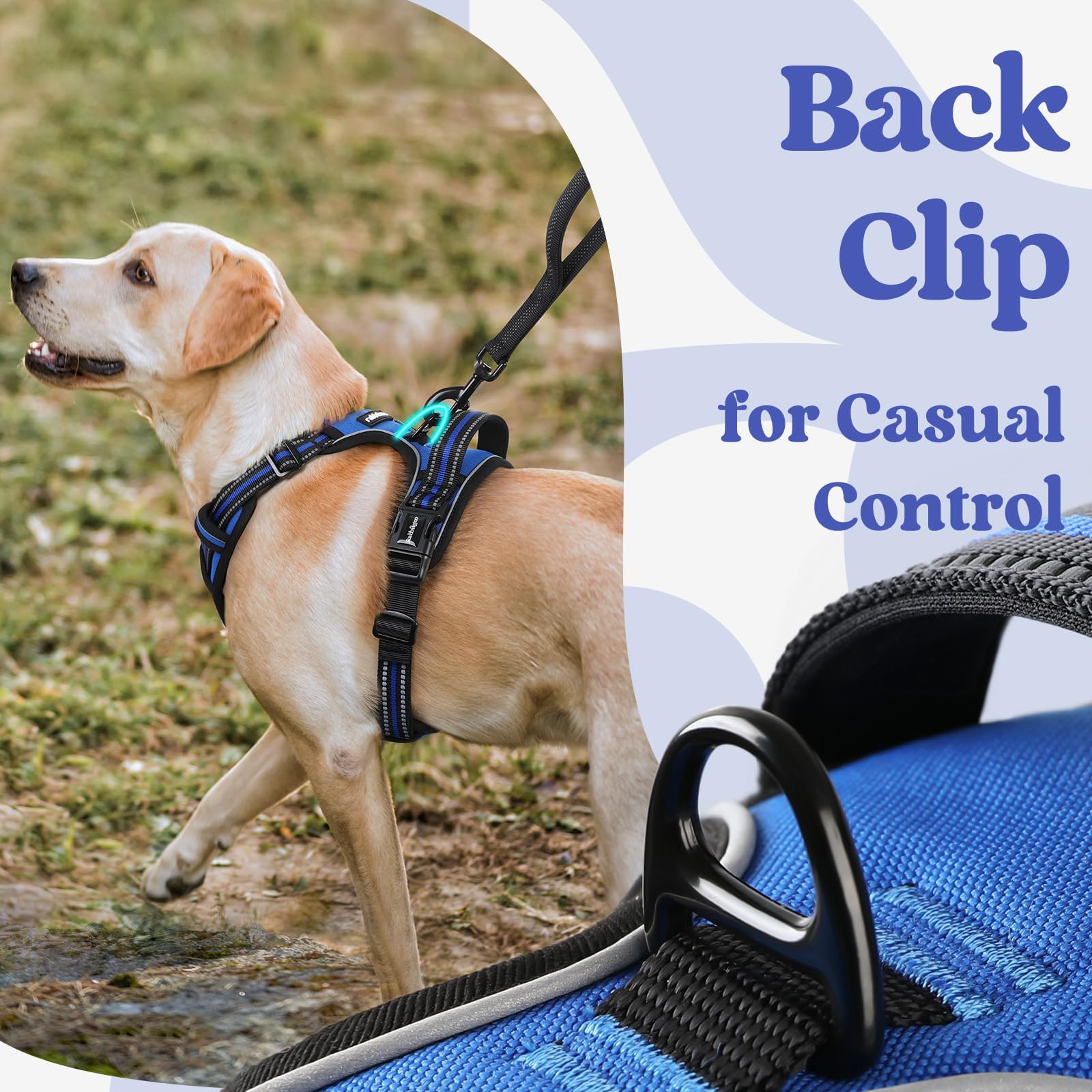 rabbitgoo harness top handle and back D-ring for immediate control