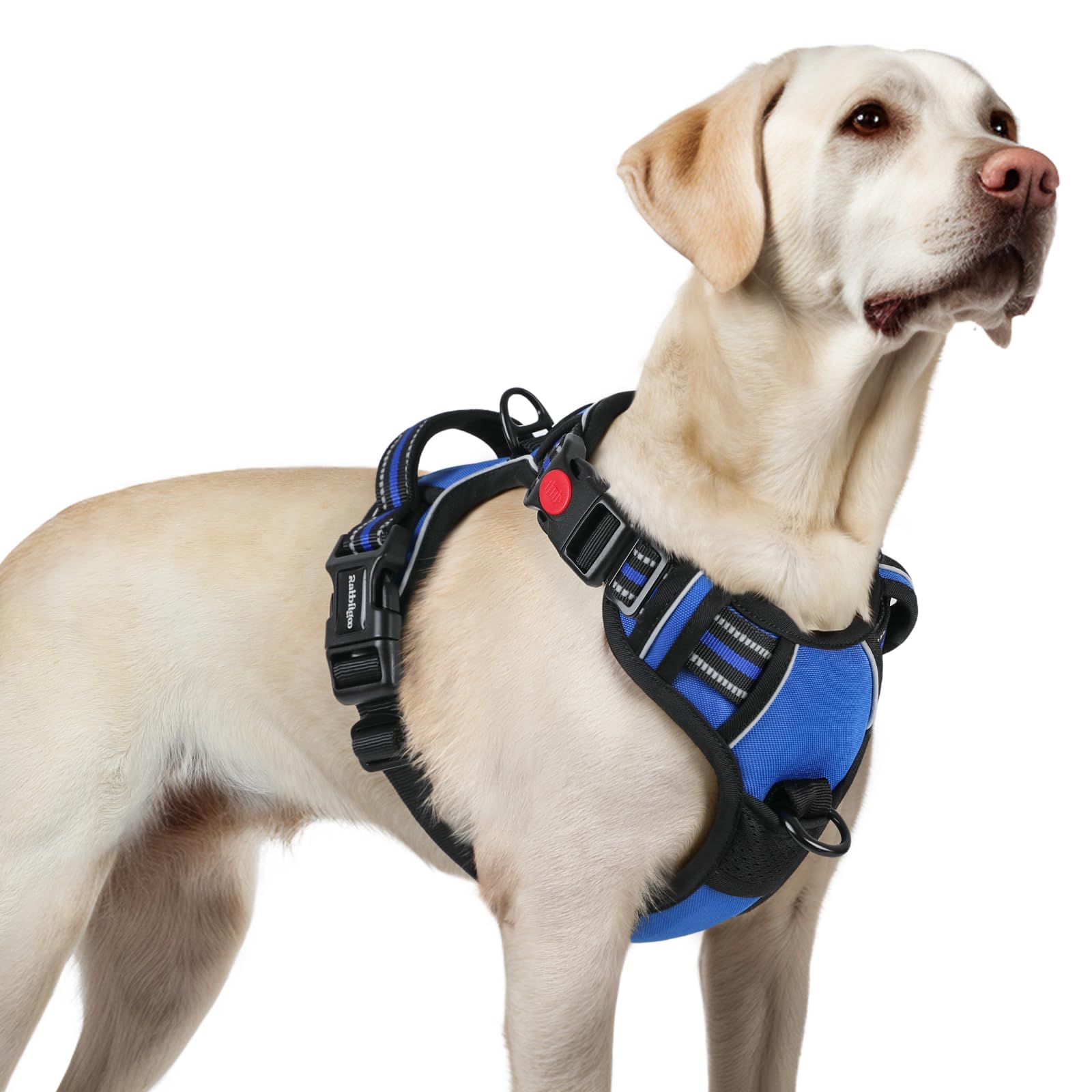 rabbitgoo large harness front view showing secure fit and quick access