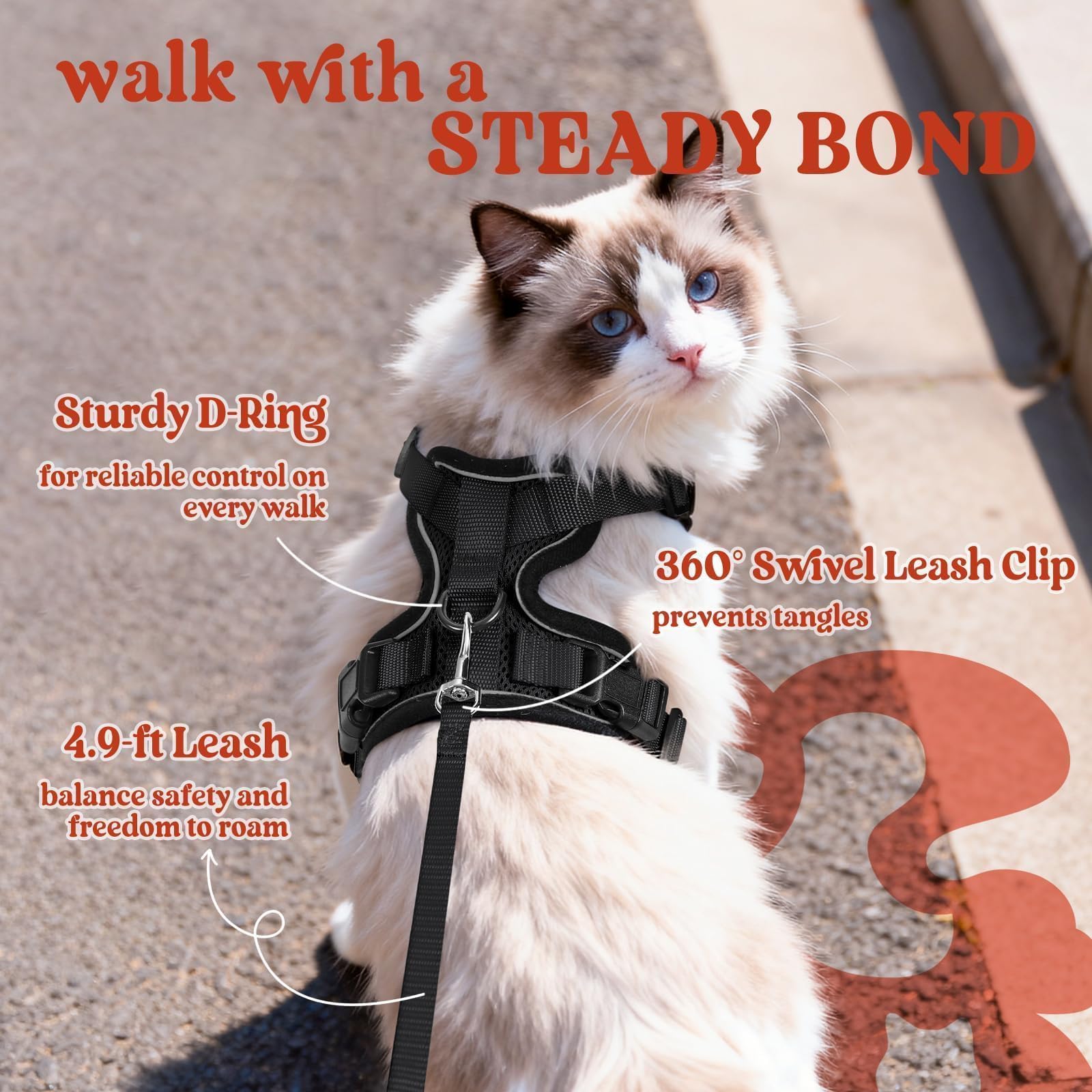 rabbitgoo leash and clip display durable hardware for confident control