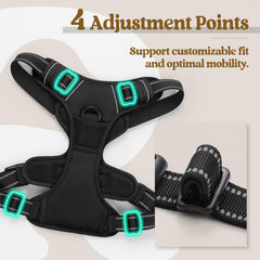 rabbitgoo side straps and buckles close-up for precise adjustment and snug fit
