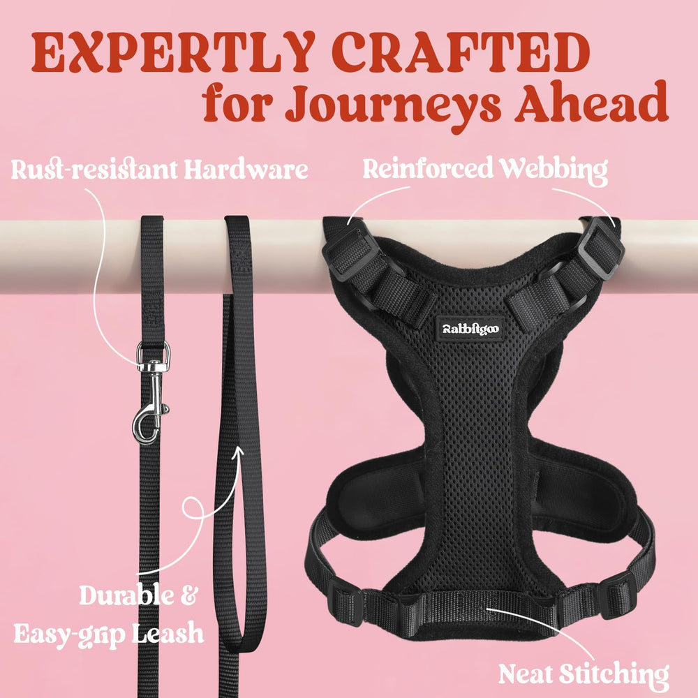 rabbitgoo harness shown on small cat for correct size and scale fitting