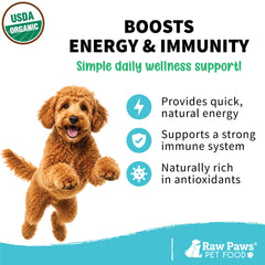 Raw Paws applied to dog paw pads to soothe and moisturize