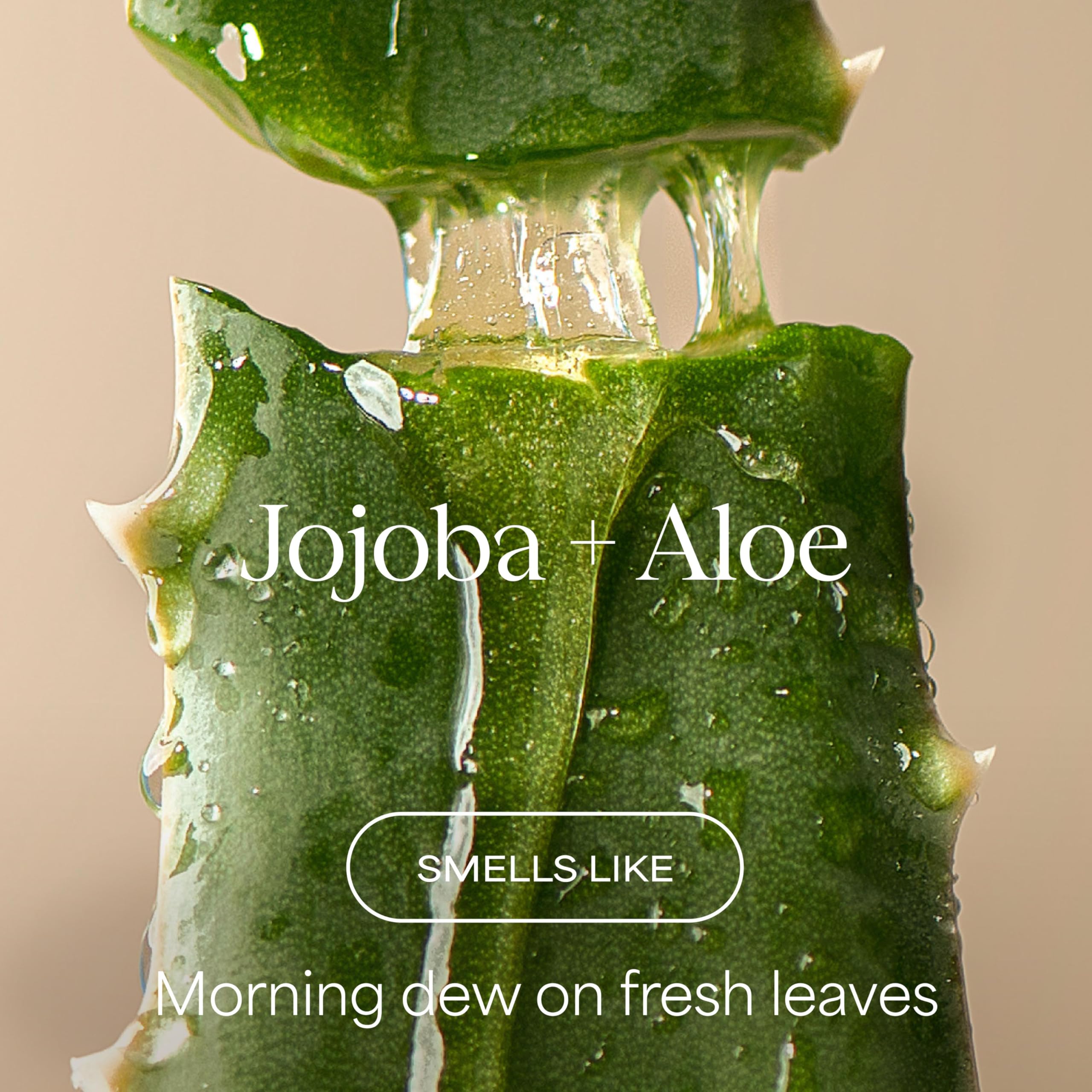 RAW SUGAR pump top closeup for easy dispensing and control