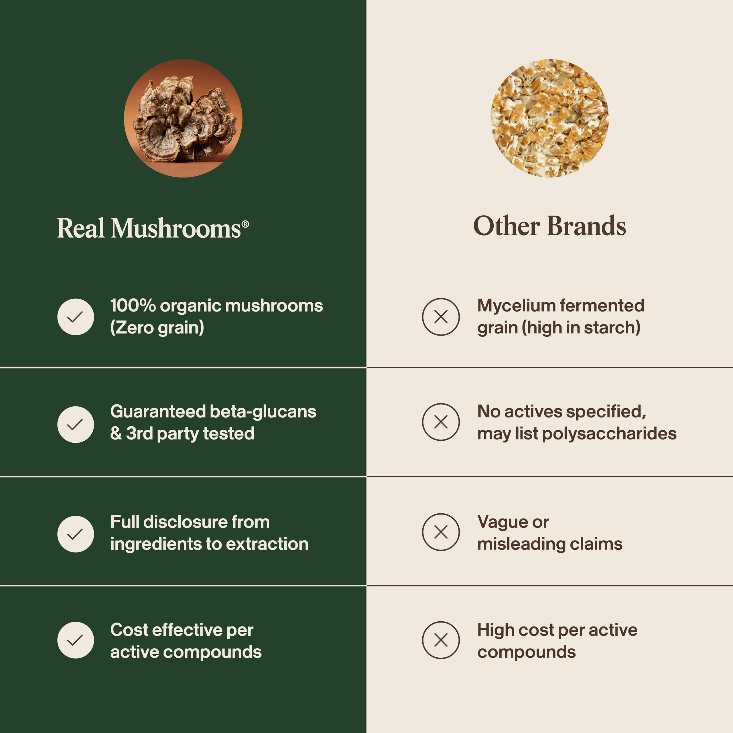Real Mushrooms powder stirred into a smoothie bowl showing recipe flexibility