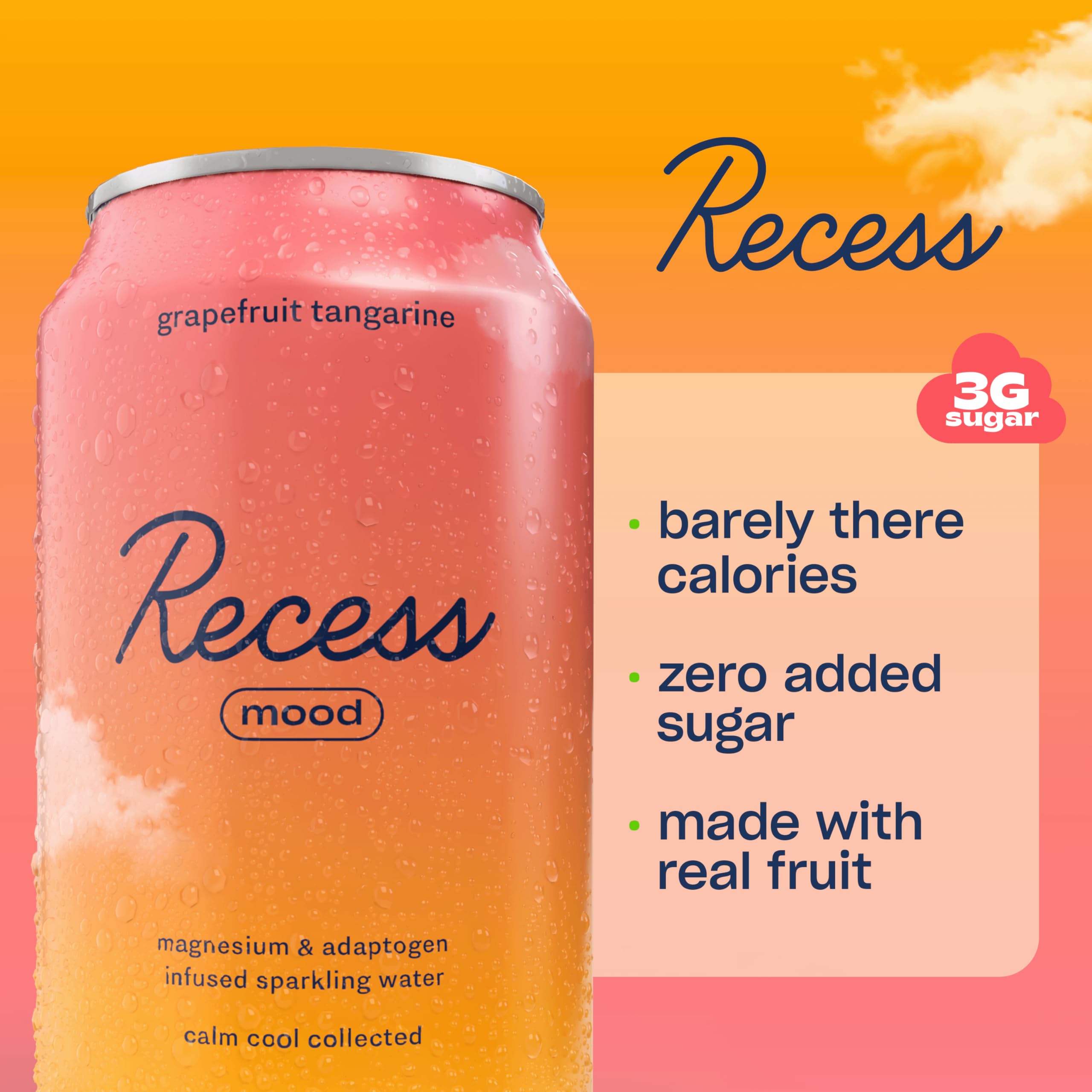 Recess Raspberry Lemon with dried raspberries visible highlighting natural flavor benefit