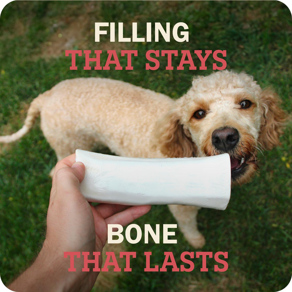redbarn bone in a crate setting showing calm enrichment while supervised