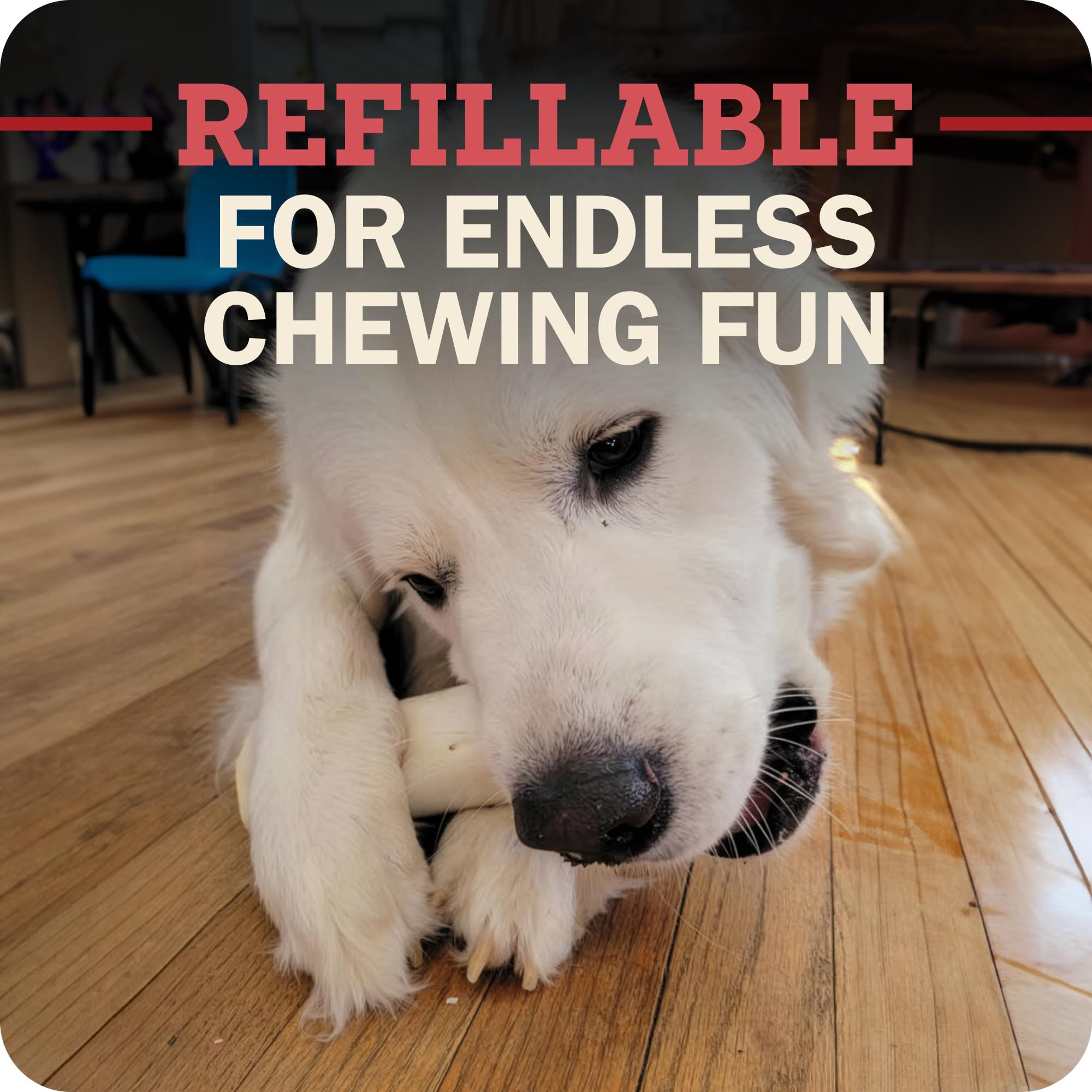 redbarn four-count contents laid out displaying value and multiple chews