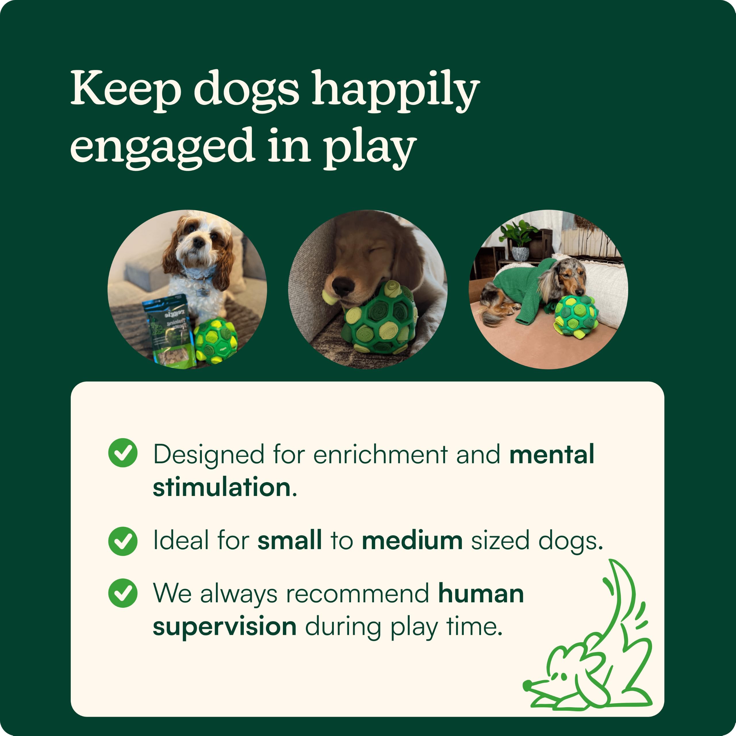 Reggie dog sniffing the snuffle ball promoting calming foraging and mental stimulation