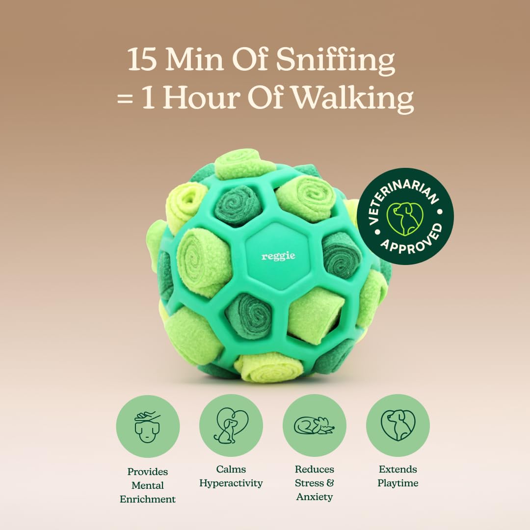 Reggie snuffle ball held in hand showing compact size and easy portability