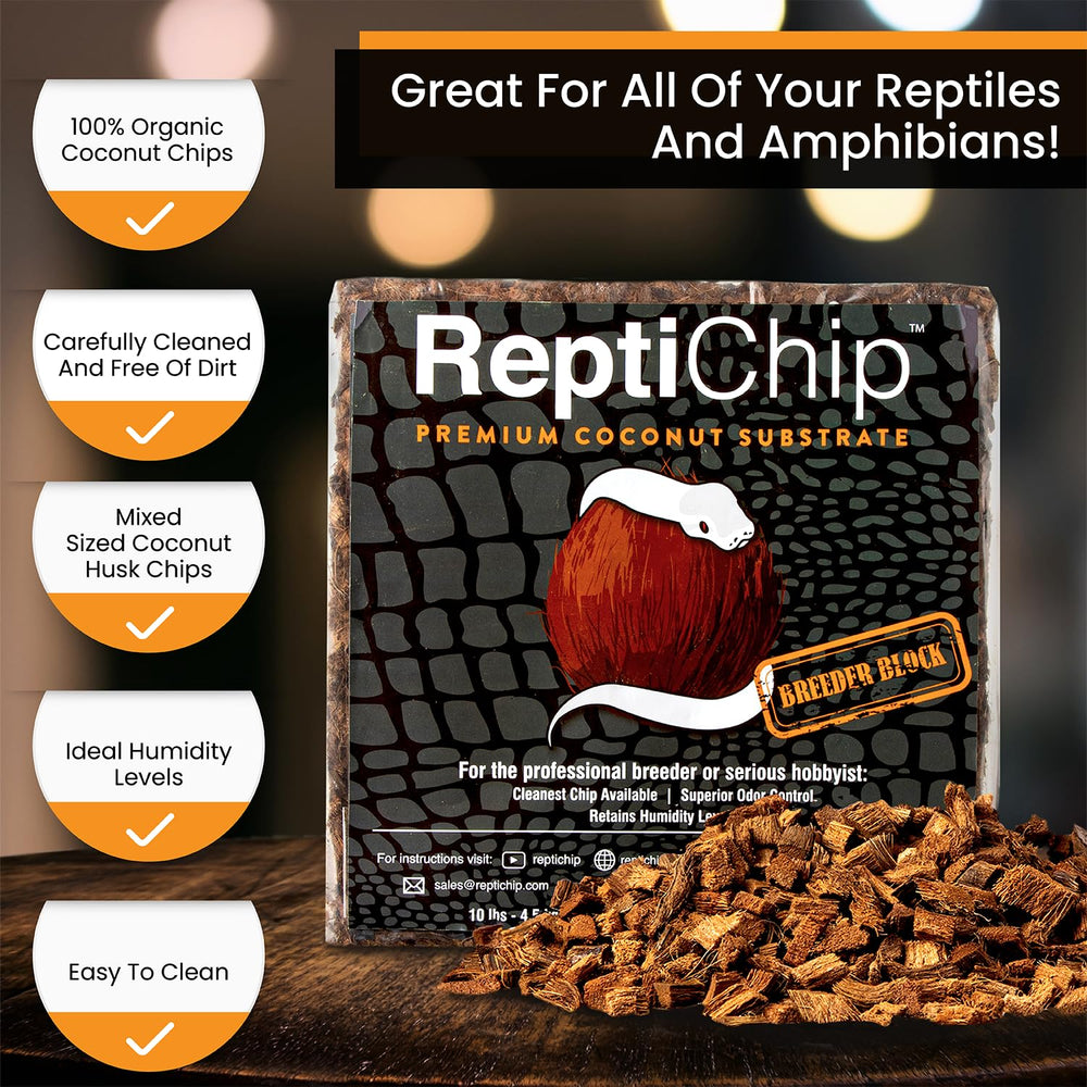 ReptiChip expanded coco husk substrate ready to line a terrarium