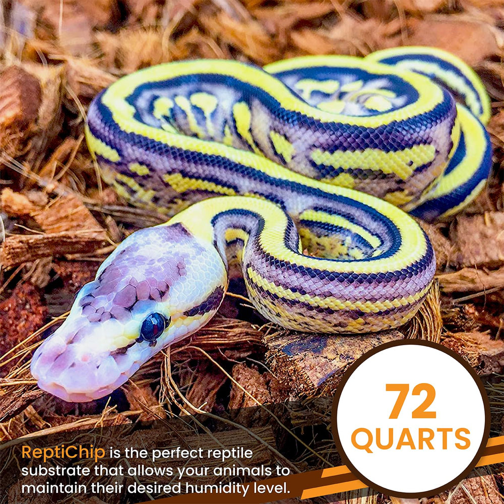 ReptiChip used in a ball python terrarium improving humidity control