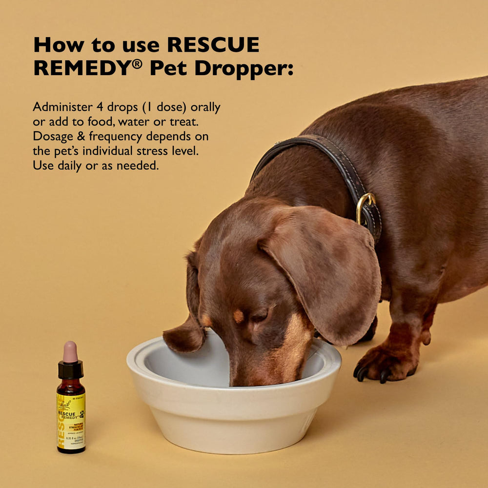 RESCUE liquid texture in glass dish highlighting gentle plant-based formulation