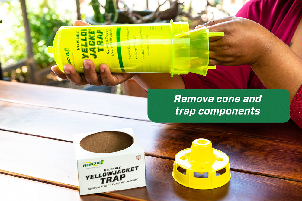 RESCUE! attractant bottle beside trap demonstrating included bait and long-lasting lure
