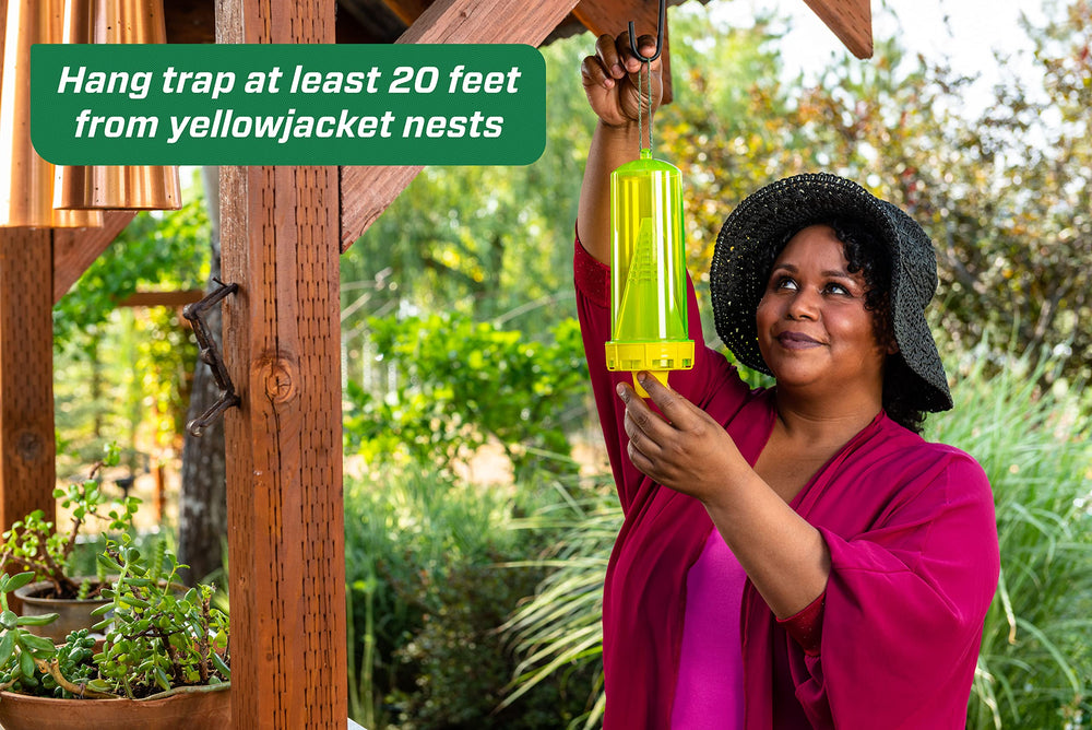 RESCUE! empty trap interior illustrating reusable design and simple maintenance benefits