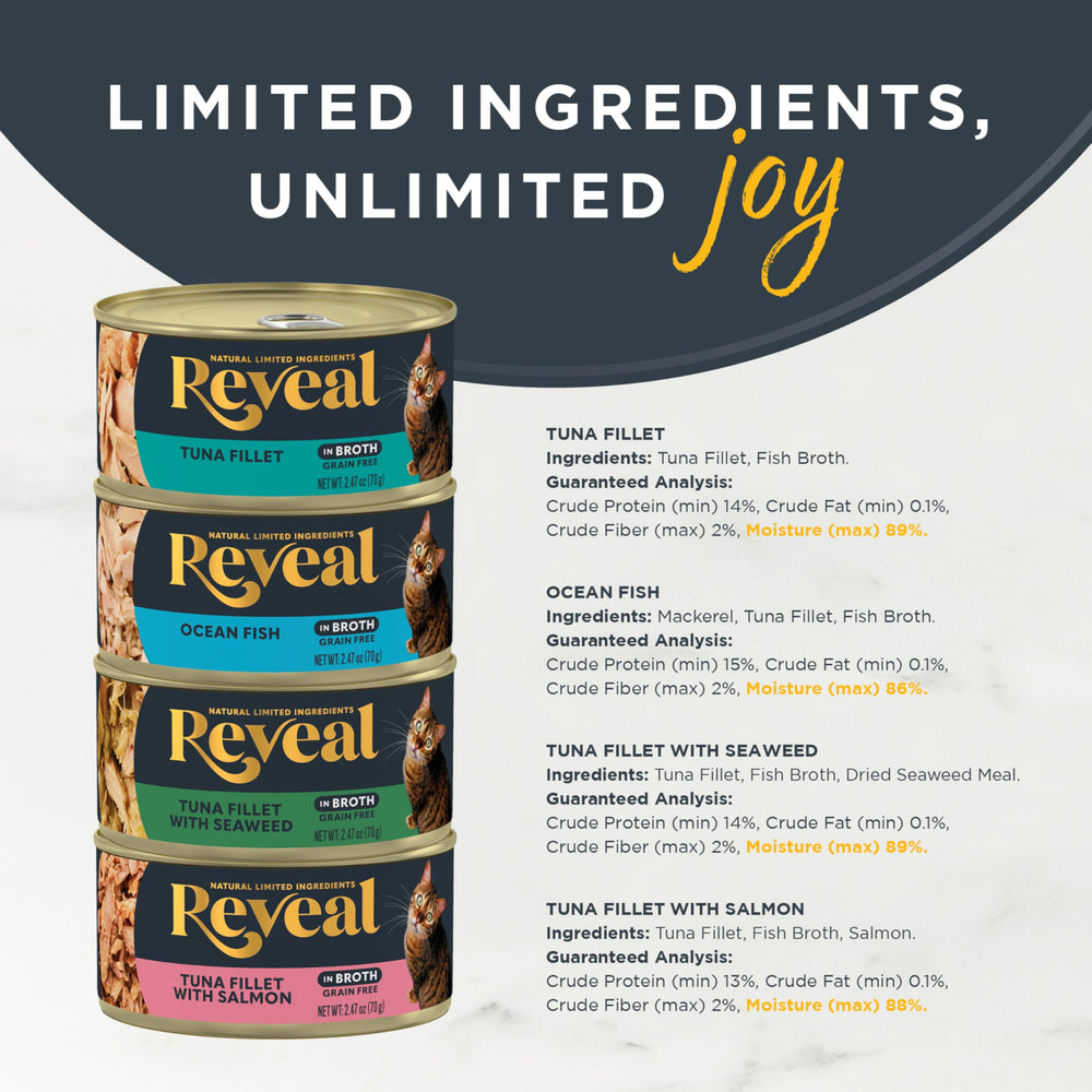 Reveal spoon lifting broth to show hydrating texture and freshness