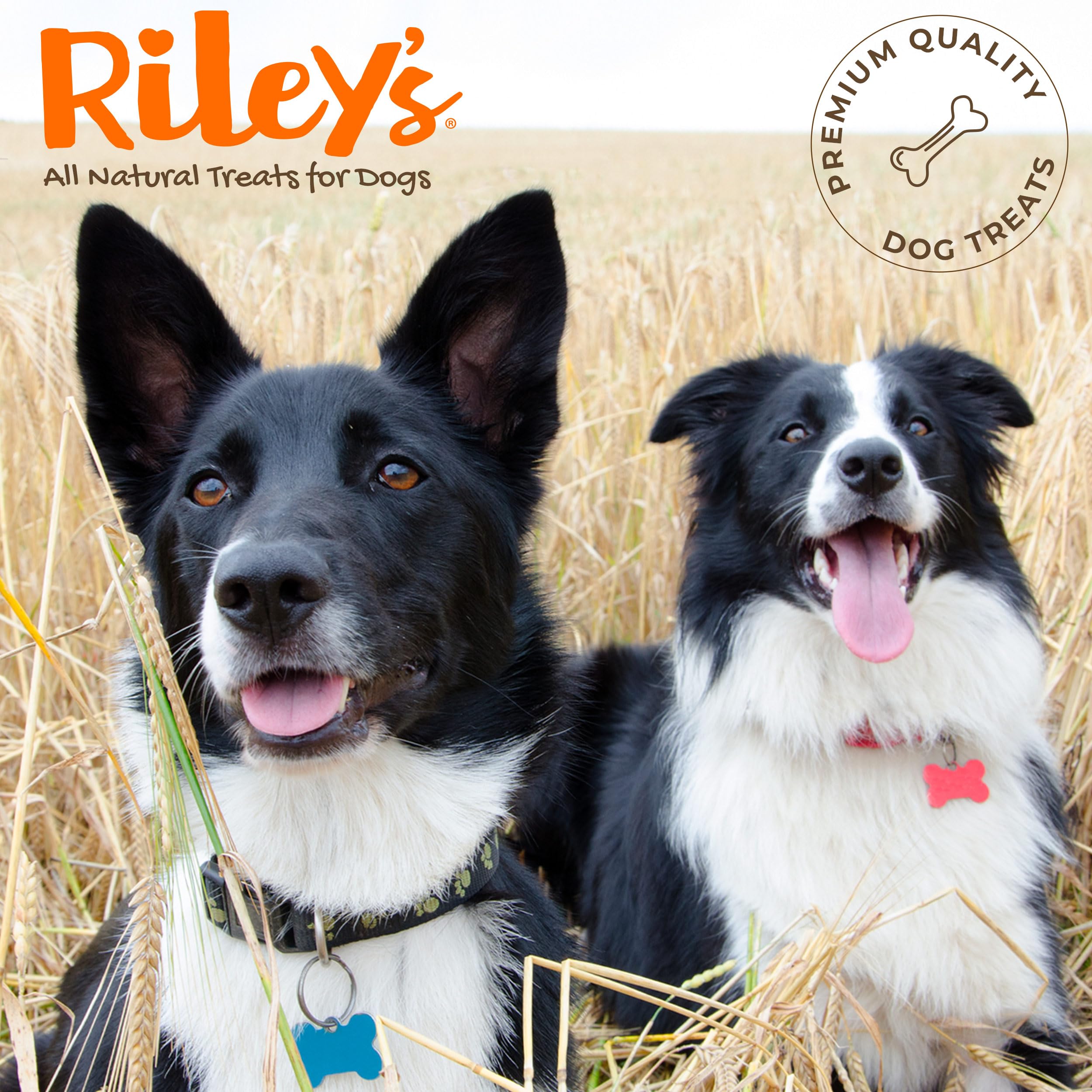 Riley's size and thickness comparison displaying variety and safe fit for large mouths