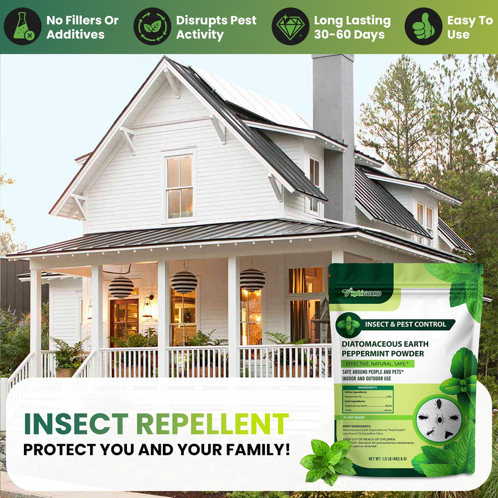 RobiGuard dusted along a house foundation illustrating outdoor perimeter protection and garden-safe use