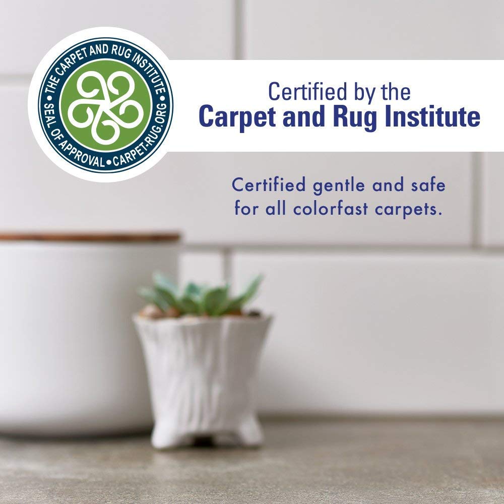Rocco & Roxie applied to couch upholstery demonstrating safe cleaning