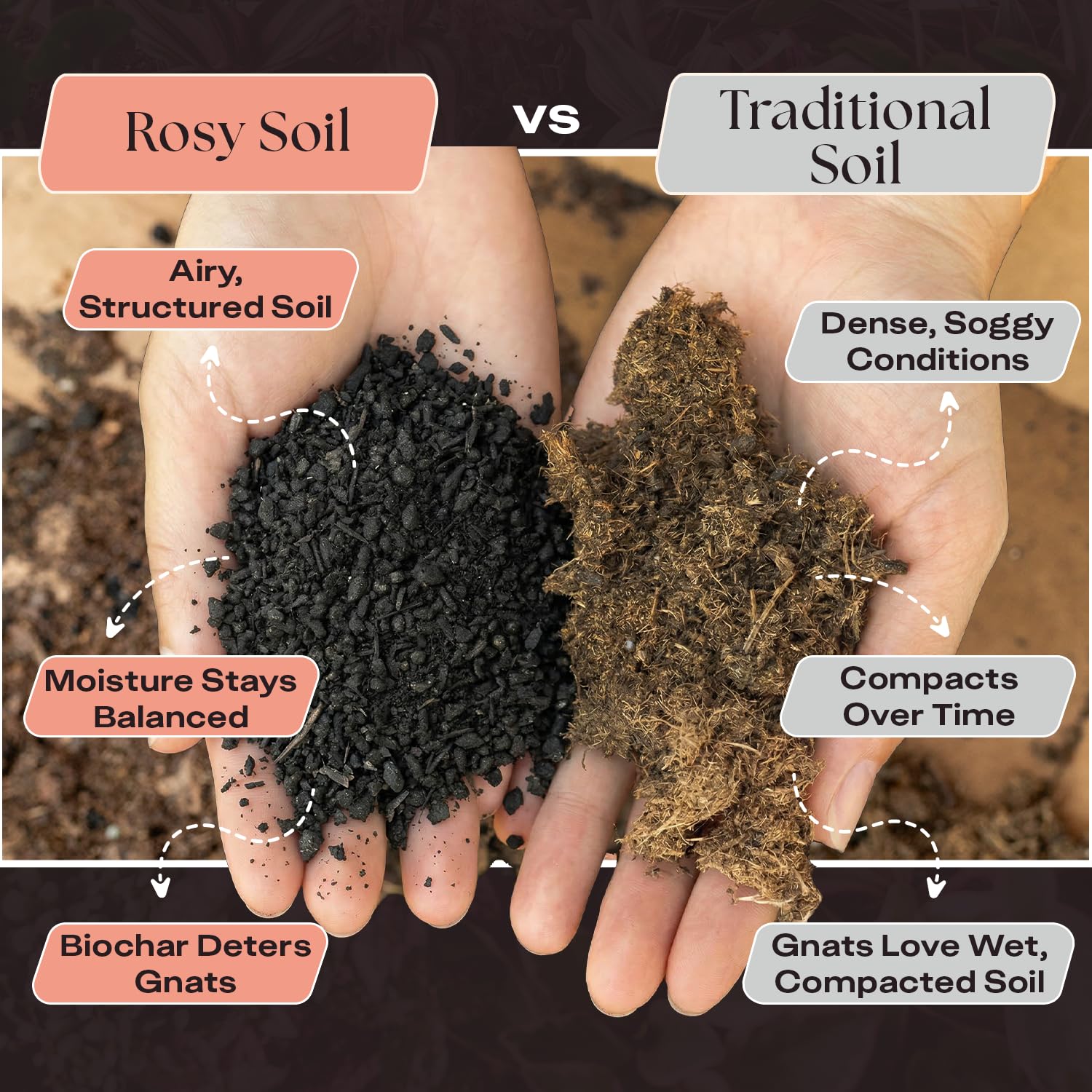 Rosy Soil in use while potting a succulent illustrating easy planting