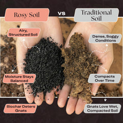 Rosy Soil in use while potting a succulent illustrating easy planting