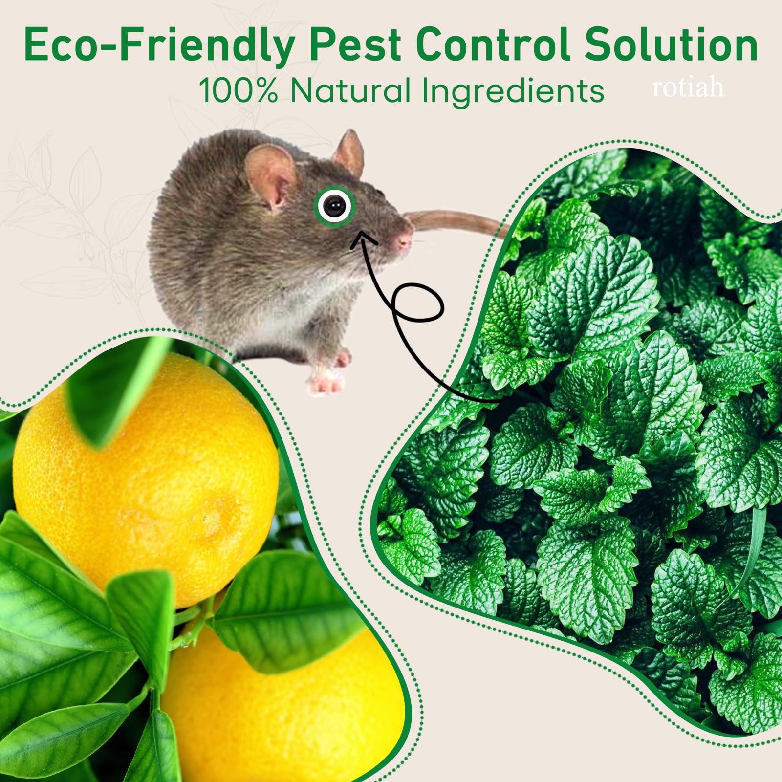 ROTIAH sachet placed inside a kitchen cabinet preventing rodents and protecting food areas