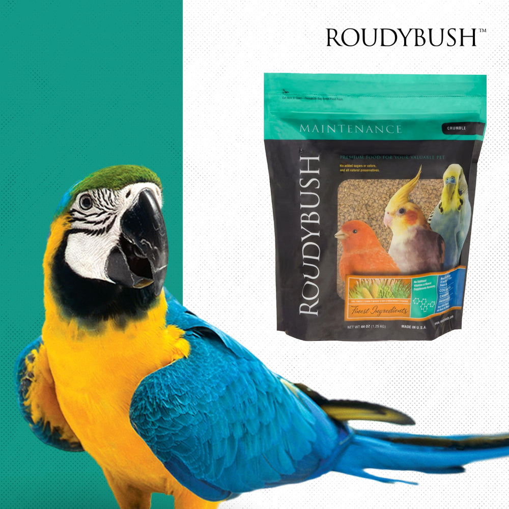 RoudyBush pellet feeding setup in a bird cage showing everyday routine convenience