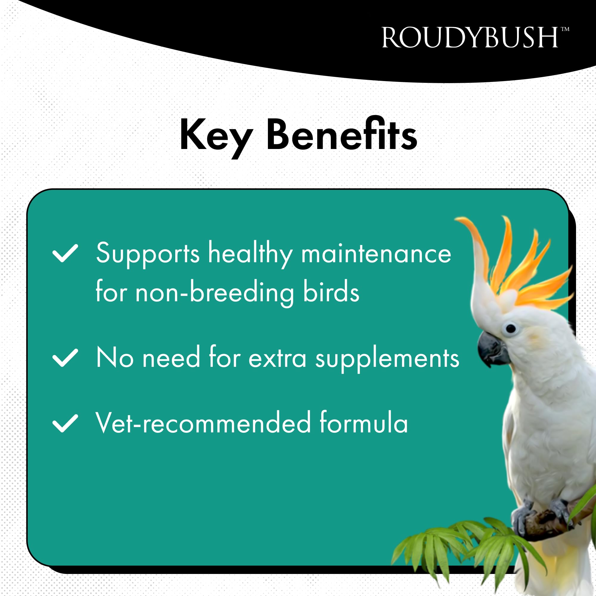 RoudyBush pellets served in a dish illustrating quick feeding and consistent portions