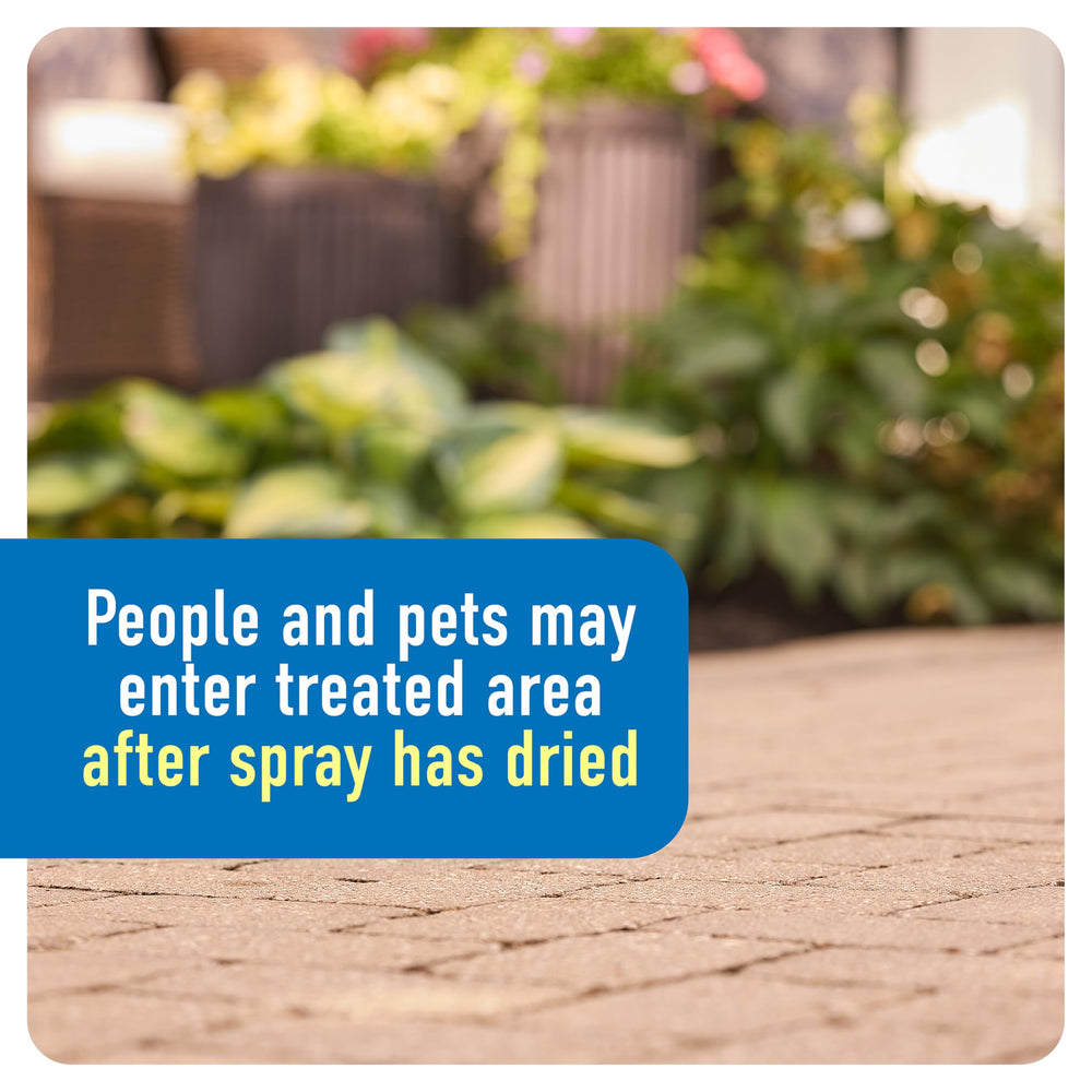 Roundup application around a flower bed protecting plants when used correctly